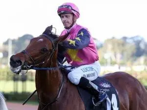 Another Bullseye on target for Valley race Another Bullseye on target for Valley race