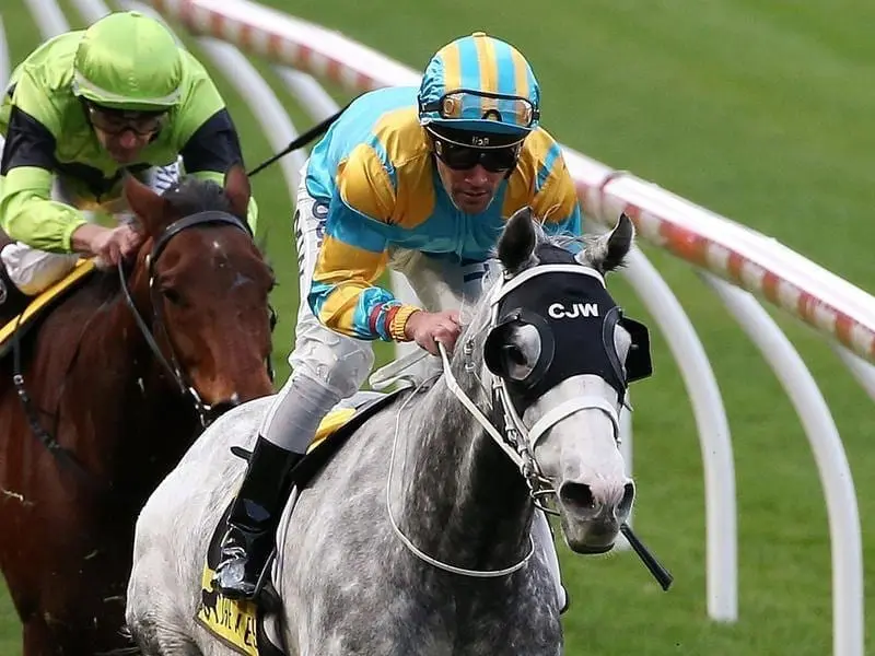 My Nordic Hero has broken through for his first Australian win at Moonee Valley. Michael Walker rides My Nordic Hero to win race 8.