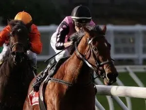 Miss Leonidas scores big win at the Valley Miss Leonidas scores big win at the Valley
