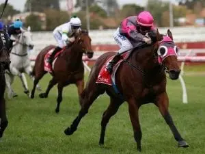 Meech out to remain unbeaten on Inn Keeper Meech out to remain unbeaten on Inn Keeper