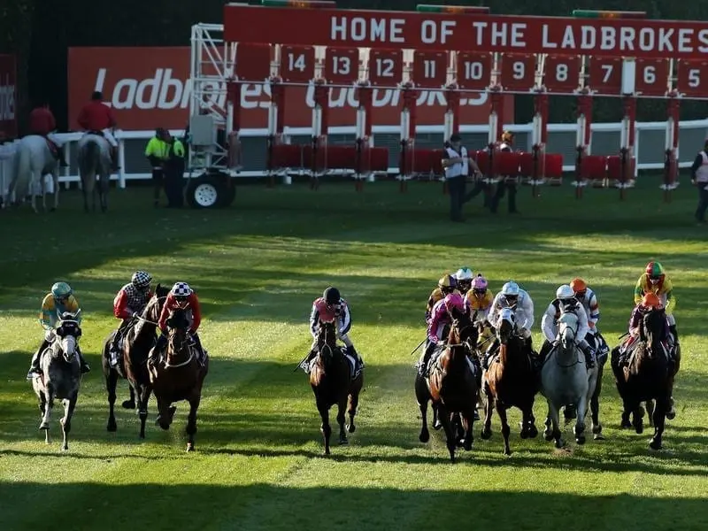 The field heads off from the start of race 7.