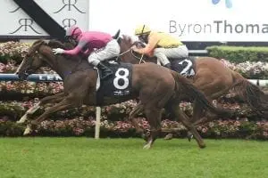 Your Way Your Way ready for black type racing back home