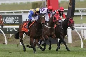 Ambitious Winner Forsman flags false Ambition after win
