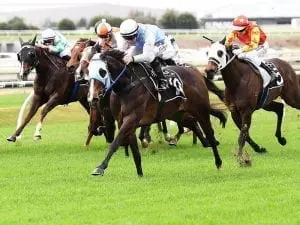 Frequendly earns another year of racing Frequendly earns another year of racing