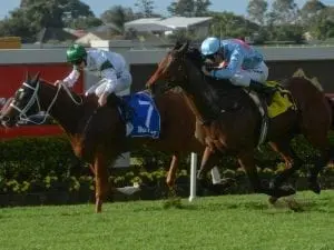 Waller after more winter black-type in Qld Waller after more winter black-type in Qld