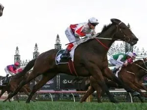 Williams stars with six wins at Flemington Williams stars with six wins at Flemington