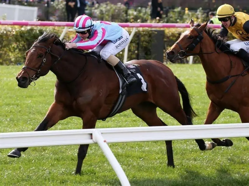 Damian Lane rides Naantali to victory in the VRC Recognition Handicap at Flemington on Saturday. Naantali
