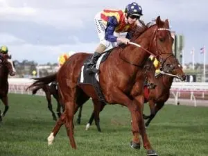 Nature Strip claims Creswick Series Final Nature Strip claims Creswick Series Final