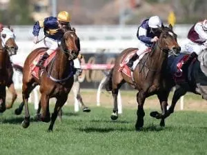 Rhythm To Spare runs in third Winter Cship Rhythm To Spare runs in third Winter Cship