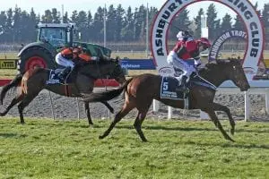 Flying Sardine Tyler’s team hit form at right time