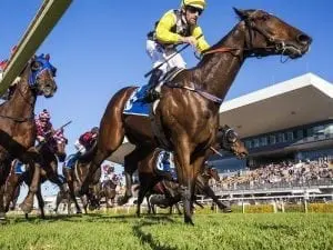 Veteran trainer Fred Cowell dies aged 78 Veteran trainer Fred Cowell dies aged 78