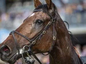 Santa Ana Lane snares slot in The Everest Santa Ana Lane snares slot in The Everest