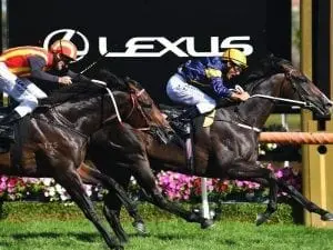 Price thrilled with Grunt’s development Price thrilled with Grunt's development