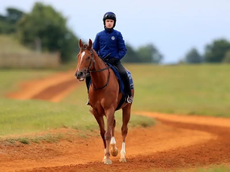 redkirk warrior