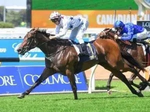 Sunlight shines in Adelaide trial return Sunlight shines in Adelaide trial return
