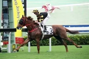 Glorious Forever Purton pins hopes on Time Warp’s kid brother