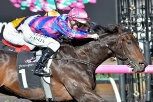 Good 'n' Fast Guineas a spring aim for Good 'n' Fast