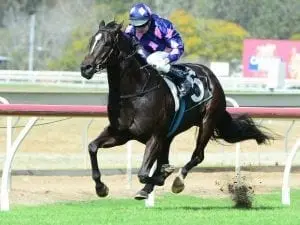 Tony Gollan passes milestone with treble Tony Gollan passes milestone with treble