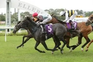 On The Rocks Smart 3YO in line for Australian venture