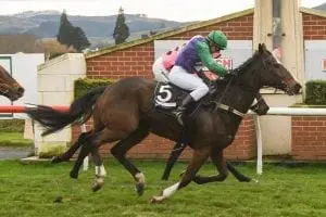 Point Proven Progressive jumper proving a point