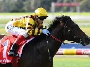 Ben Hercules on trial in Rosebud Prelude Ben Hercules on trial in Rosebud Prelude