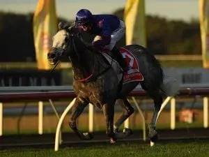 Weight worry for Megablast at Caloundra Weight worry for Megablast at Caloundra