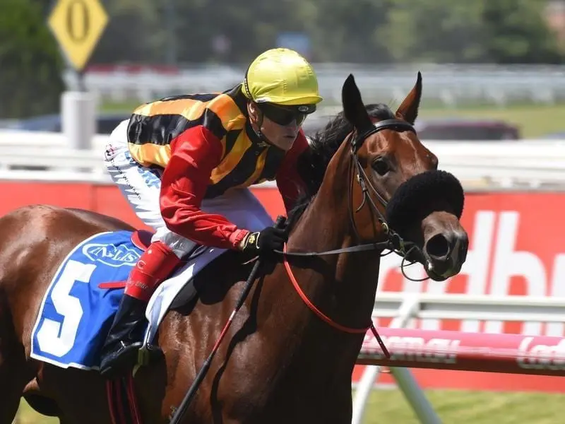 Kinky Boom will make a late-season return in a two-year-old race at Sandown. kinky boom