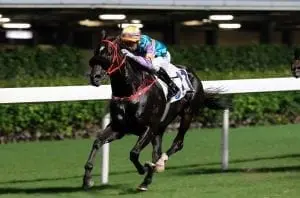 Zero Hedge Zero Hedge takes the feature and keeps Moreira in the hunt