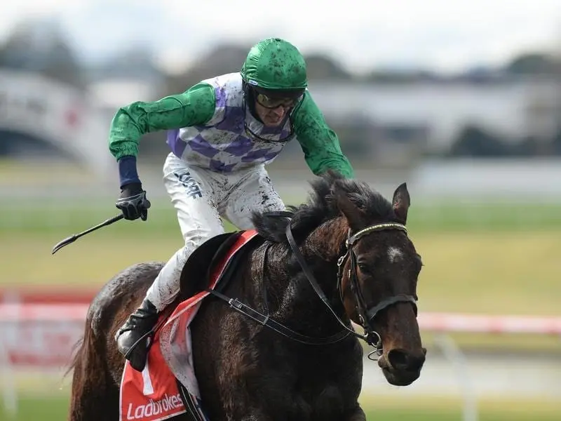 Wells winning the 2017 Crisp Steeplechase.