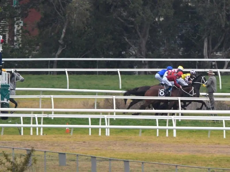 Chautauqua's racing future remains clouded after missing the start in a Rosehill barrier trial. Chautauqua misses the start.
