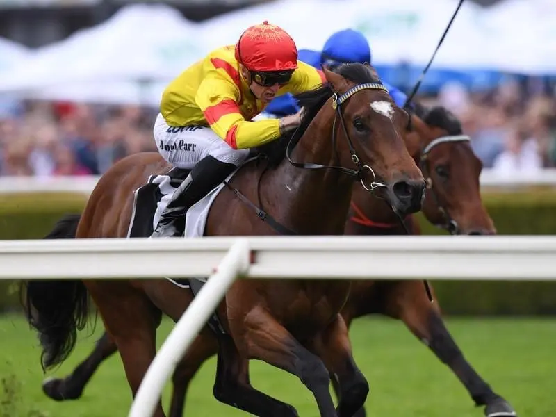 Legend Of Condor winning at Randwick.