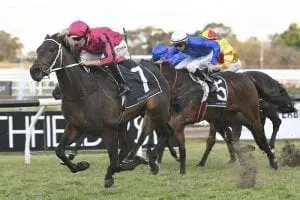 Paret stamps Epsom Handicap claims