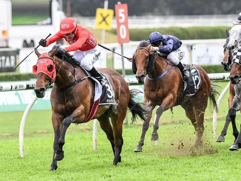 Redzel begins his path to a defence of The Everest when he runs in the Concorde Stakes at Randwick. redzel