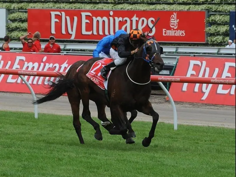 The VRC is keen for an Australian-bred to win the Melbourne Cup with Shocking the last in 2009. shocking