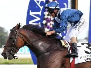 Viddora primed for G1 Moir Stakes first-up