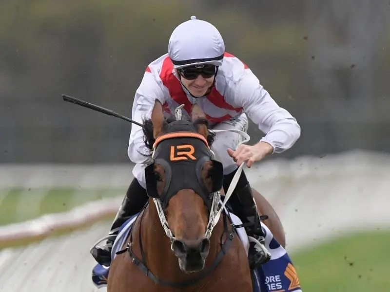 Talented colt Graff has a favourable barrier to justify favouritism in the $1 million Golden Rose. Graff