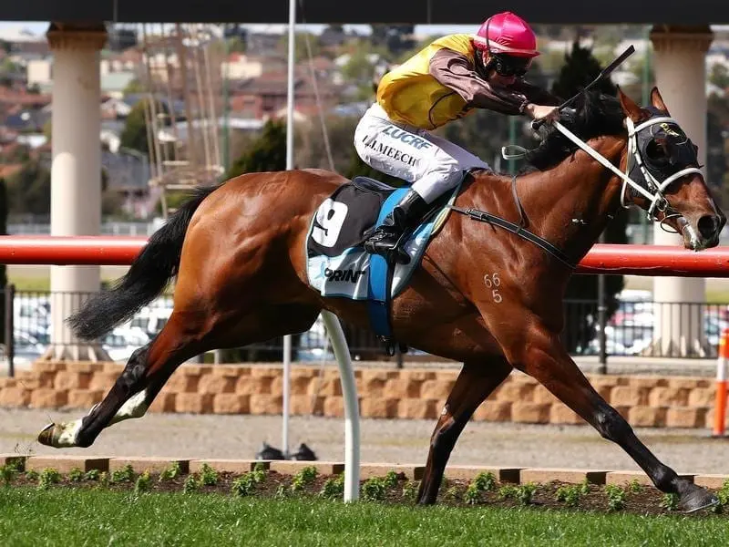 Tavirun wins at Moonee Valley.