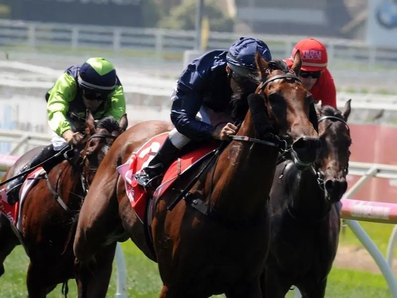 Long Leaf (blue) will put his Golden Rose hopes to the test when he runs at Rosehill. long leaf