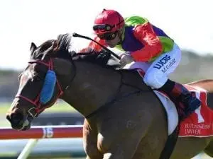 Long shot combo team up at Sunshine Coast