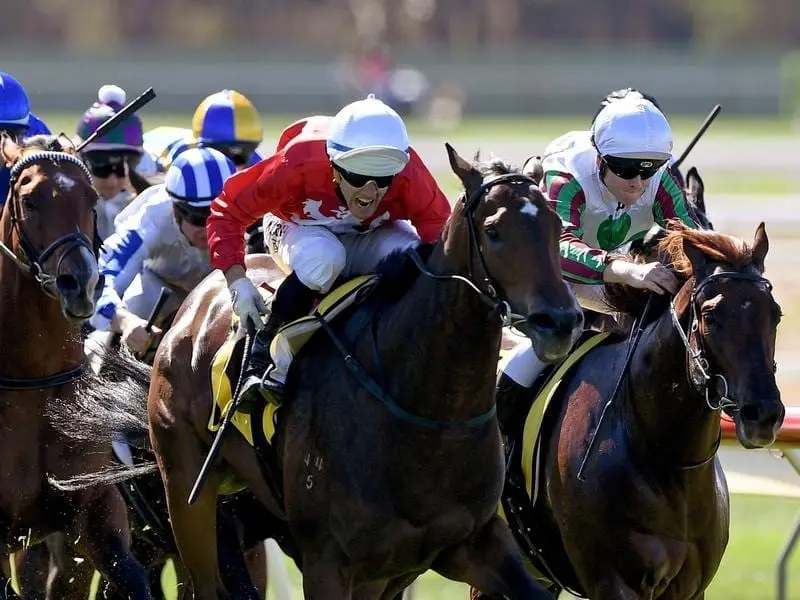 Thrillster (centre) wins at Bendigo.