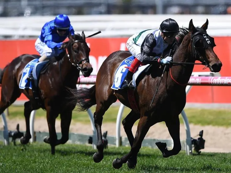 Two-year-old Champagne Boom has given Lindsay Park a winning start to the Caulfield Cup carnival. Champagne Booms wins at Caulfield.