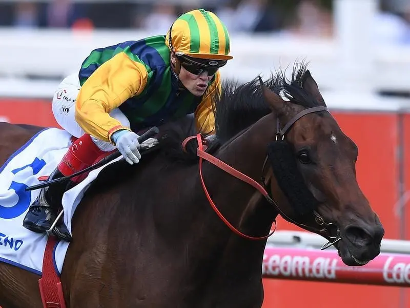 Ball Of Muscle wins the Schillaci Stakes.