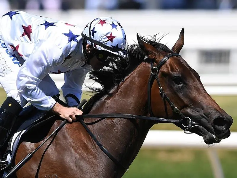 Fleet-footed filly Sunlight could be tested against Group One sprinters after winning at Caulfield. Sunlight wins at Caulfield.