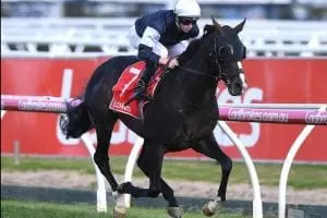 Yucatan impressive in Herbert Power win