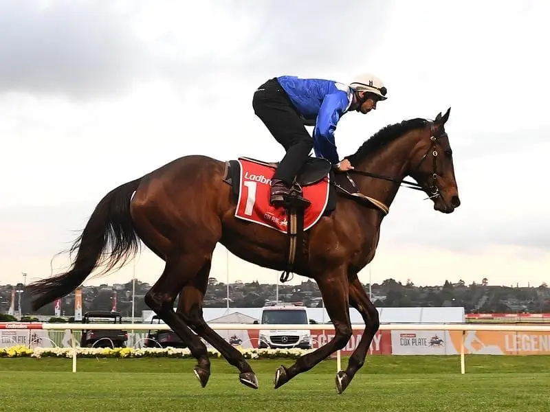 Winx at trackwork.