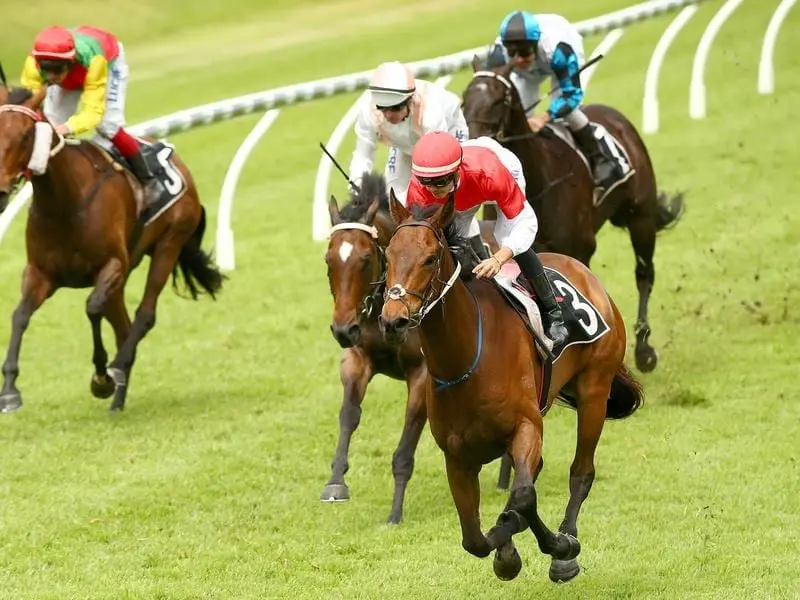 Niccanova wins at Doomben.