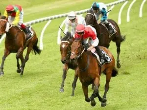 Niccanova to step up after Doomben victory