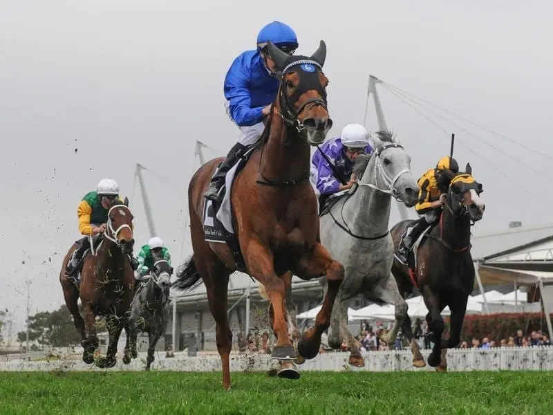 Godolphin's Home of the Brave (blue) has been confirmed as the ATC's runner in the $13m Everest. home of the brave