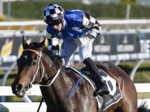 Tactical has advantage at Randwick