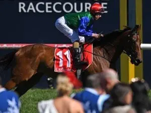 Dual NZ champion Bonneval retired